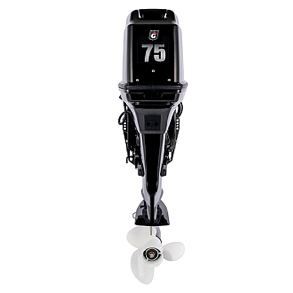 1 Лодочный мотор GOLFSTREAM T 75 FEL-T